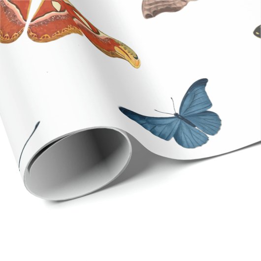 Halbwahnsinn Geschenkpapier (Rolleneckpunkt)