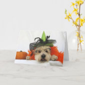 Halbwaschkarte, Spaß, niedlicher Hund, Hexe, Kürbi Karte (Gelbe Blume)