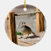 Halbweg über die Brücke Keramik Ornament (Hinten)