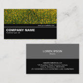 Halbweg V2 028 - Bett aus gelben Milchsorten Visitenkarte (Vorne/Hinten)