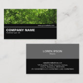 Halbweg V2 029 - Holzkanopie Visitenkarte (Vorne/Hinten)