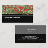 Halbweg V2 033 - Bett von Tulips Visitenkarte (Vorne/Hinten)