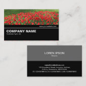 Halbweg V2 035 - Bett von Red Tulips 02 Visitenkarte (Vorne/Hinten)