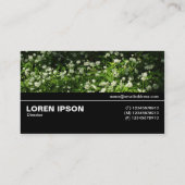 Halbweg V3 035 - Freier Knoblauch Visitenkarte (Rückseite)