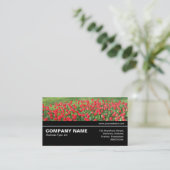 Halbweg V3 043 - Bett von Red Tulips 01 Visitenkarte (Stehend Vorderseite)