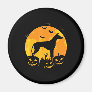 Halbwunder Grauhund-Jack-Laternenkürbis Magnet