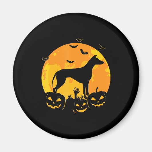 Halbwunder Grauhund-Jack-Laternenkürbis Magnet (Vorne)