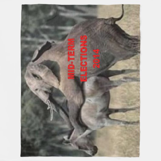 HALBZEITWAHL 2014 FLEECEDECKE (Vorderseite)