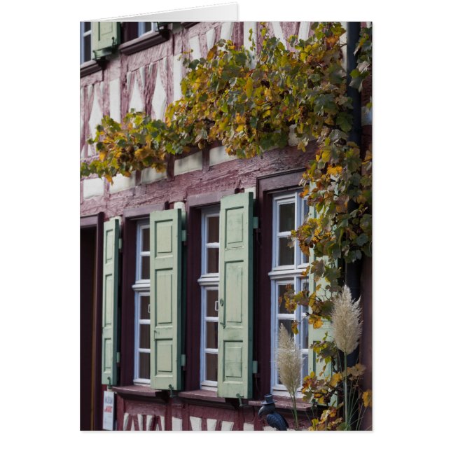 Halbzeitwohnung (Vorne)