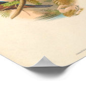 Halcyon Cularis Kingfisher Vintage Vögel Poster (Ecke)