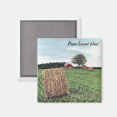 Hale Bales Square Magnet (Vorderseite/Rückseite)