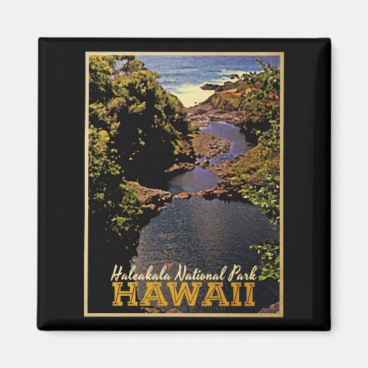 Haleakala Nationalpark Hawaii Magnet (Vorne)