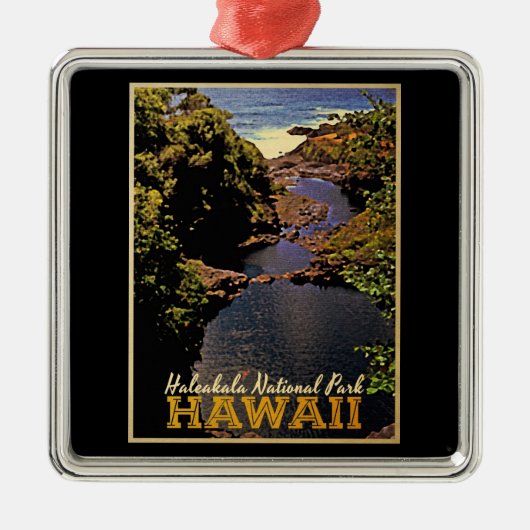 Haleakala Nationalpark Hawaii Silbernes Ornament (Vorne)