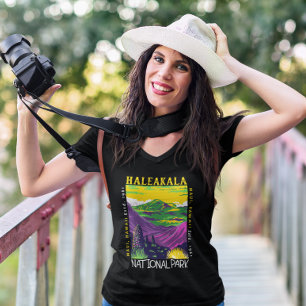 Haleakala Nationalpark Hawaii Vintag gestört T-Shirt