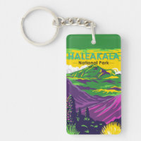 Haleakala Nationalpark Hawaii Vintag