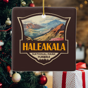 Haleakala Nationalpark Illustration Retro Abzeiche Keramikornament