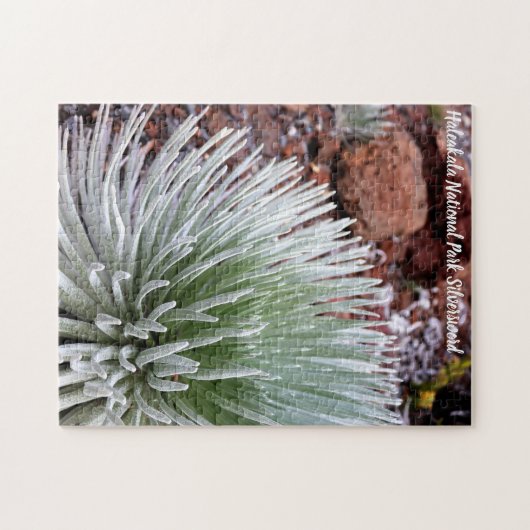 Haleakala Nationalpark Silversword Puzzle (Horizontal)