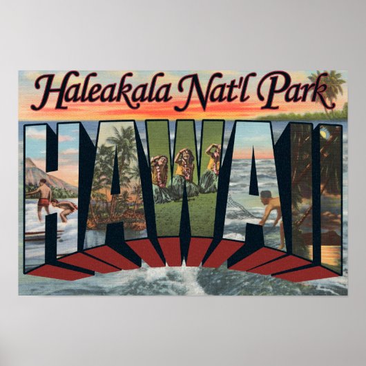 Haleakala Nat'l Park, Hawaii Poster (Vorne)