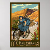 Haleakala Radtour Hawaii Poster (Vorne)