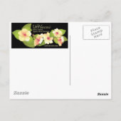 Haleiwa Postkarte (Rückseite)