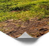 Haleokane Blick über die Bucht von Honuapo Poster (Ecke)