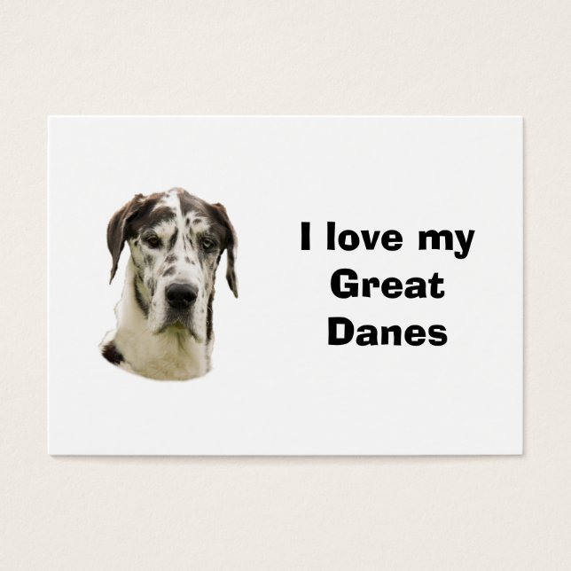 Halequin Great Dane Foto (Vorderseite)