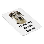 Halequin Great Dane Foto Magnet (Rechte Seite)