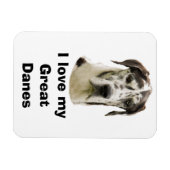 Halequin Great Dane Foto Magnet (Horizontal)