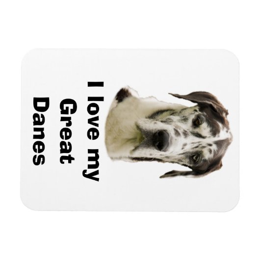 Halequin Great Dane Foto Magnet (Horizontal)