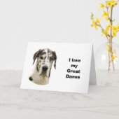 Halequin Great Dane Portrait Foto Karte (Gelbe Blume)