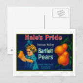 Hale's Pride Pear Crate LabelSuisun, CA Postkarte (Vorne/Hinten)