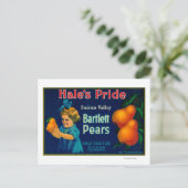 Hale's Pride Pear Crate LabelSuisun, CA Postkarte (Stehend Vorderseite)