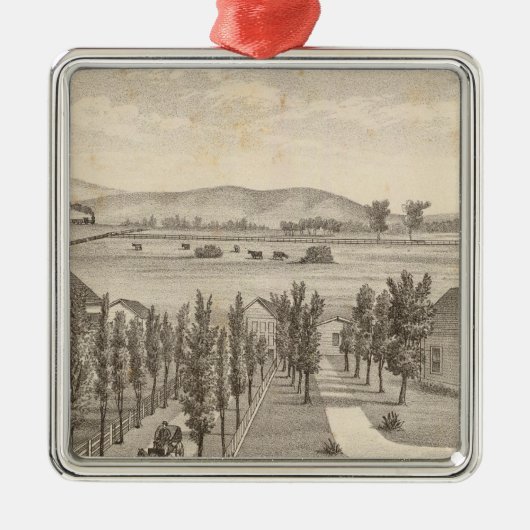 Haley Res, Bauernhof Silbernes Ornament (Vorne)