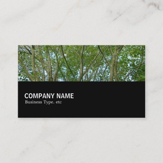 Half 080 - Japanischer Ahorn Visitenkarte (Vorderseite)