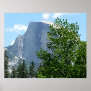 Half Dome im Sommer vom Yosemite-Nationalpark Poster