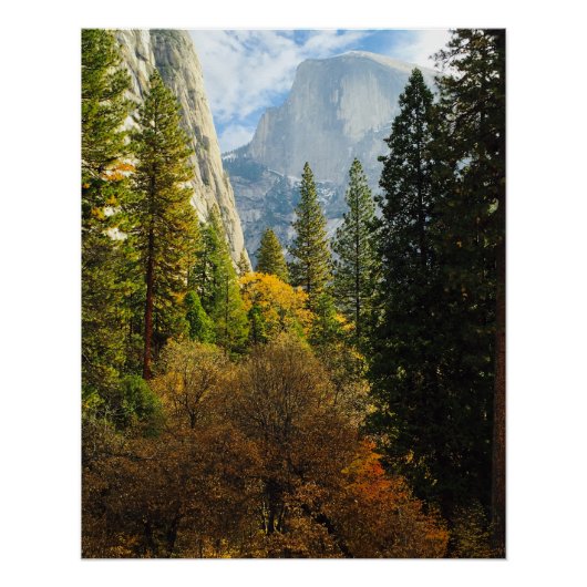 Half Dome in Herbstposter (Yosemite National Park) Poster (Vorderseite)