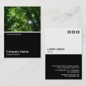 Half&Halb Foto 027 - Sonne in den Bäumen Visitenkarte (Vorne/Hinten)