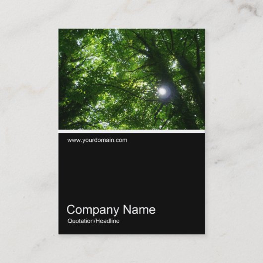 Half&Halb Foto 027 - Sonne in den Bäumen Visitenkarte (Vorderseite)
