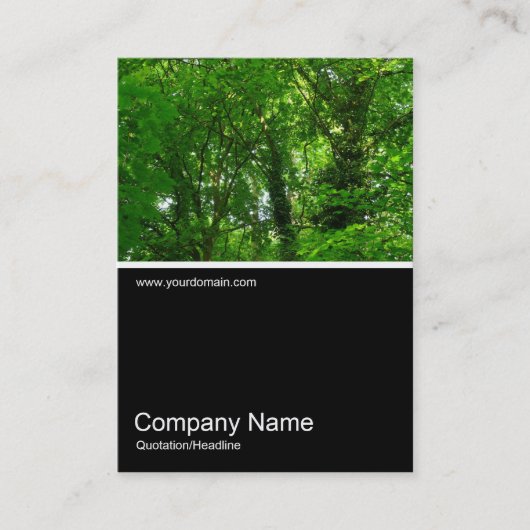 Half&Halb Foto 028 - In den Bäumen Visitenkarte (Vorderseite)