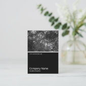 Half&Half Foto 0100 - Bäume Visitenkarte (Stehend Vorderseite)