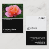 Half&Half Foto 0173 - Rose Visitenkarte (Vorne/Hinten)