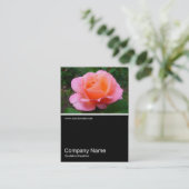 Half&Half Foto 0173 - Rose Visitenkarte (Stehend Vorderseite)