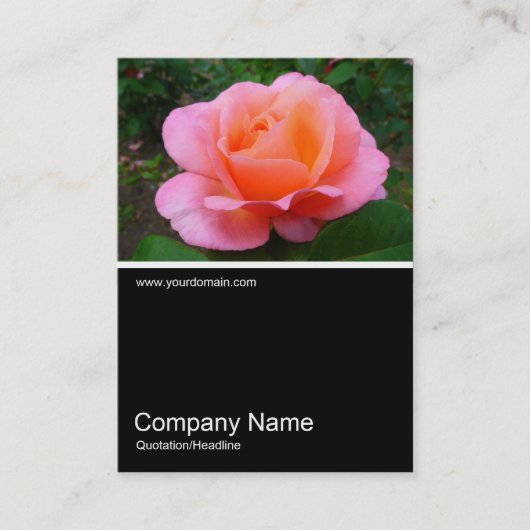 Half&Half Foto 0173 - Rose Visitenkarte (Vorderseite)