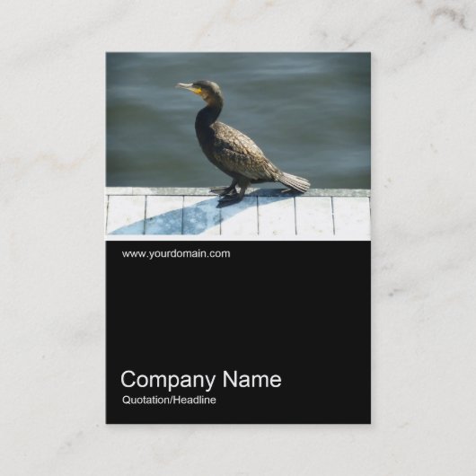 Half&Half Foto 0178 - Kormorant Visitenkarte (Vorderseite)