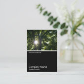 Half&Half Foto 0183 - Sonne durch Bäume Visitenkarte (Stehend Vorderseite)