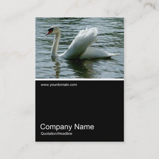 Half&Half Foto 0224 - Schwan Visitenkarte (Vorderseite)