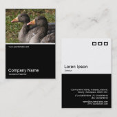 Half&Half-Foto 0240 - Grauhaie Visitenkarte (Vorne/Hinten)