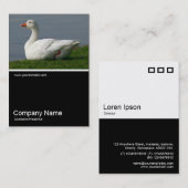 Half&Half Foto 0244 - Weißer Gänse Visitenkarte (Vorne/Hinten)