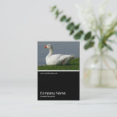 Half&Half Foto 0244 - Weißer Gänse Visitenkarte (Stehend Vorderseite)
