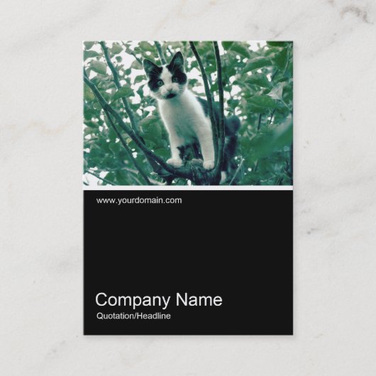 Half&Half Foto 0249 - Überfluss der Naughtiness Visitenkarte (Vorderseite)